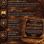 nds-nds-20-7