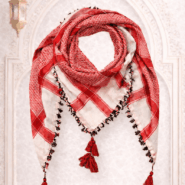 nmtmmp-red-6