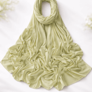 nss-set1-lightsagegreen-4