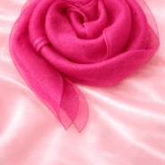 nss-pgs-ranipink-2