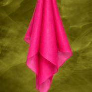 nss-pgs-ranipink-4