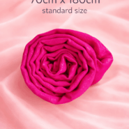 nss-pgs-ranipink-7