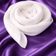 nss-pgs-snowwhite-3
